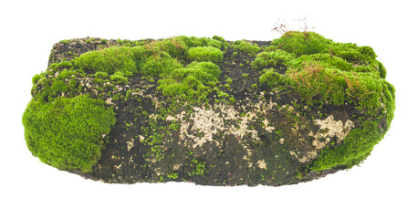 Old brick in moss isolated on white background.