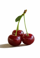 Soda flowers, roses and others