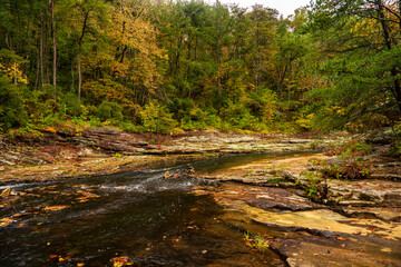 stream in fall