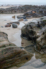 Shiny colorful wet rock  on a low tide
