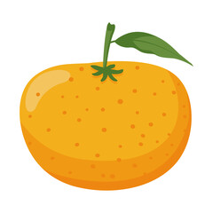 fruit citrus orange
