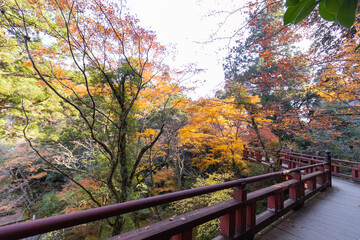 那谷寺の秋の紅葉風景