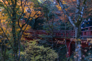 那谷寺の秋の紅葉風景