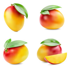 Set of ripe mangoes