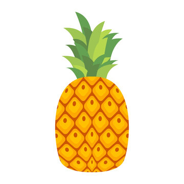 fruit pineapple