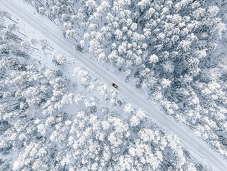 aerial view of winter forest covered in snow. drone photography - obrazy, fototapety, plakaty