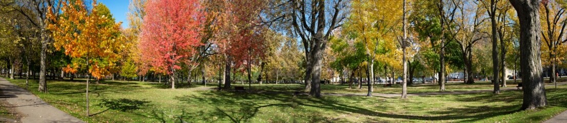 Panoramic of a fall scene in Lafontaine Park in Montreal.