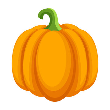 vegetable pumpkin