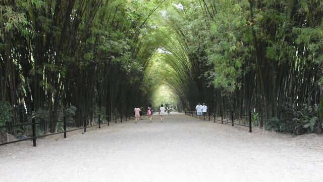 Bamboo tunnel for thai people and foreign travelers travel visit rest relax and posing portrait take photo in Wat Chulabhorn Wanaram Temple at Ban Phrik in Ban Na District of Nakhon Nayok, Thailand