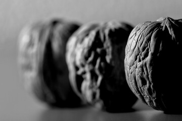 Nueces