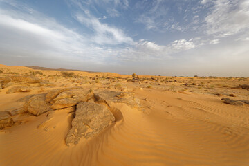 Mauritania, region of Adrar. Typical desert scenery close from the Tifoujar pass..