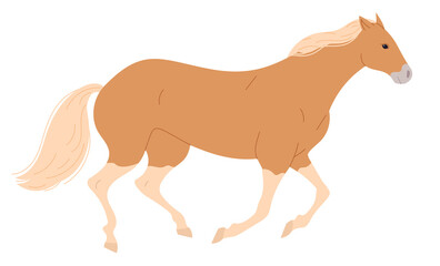 Horse with blond mane is galloping slowly.