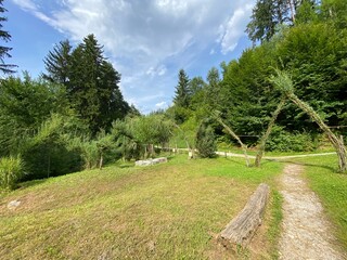 Schwaz Unteres Inntal Tirol Österreich - Silberwald Heilwald