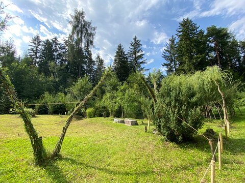 Schwaz Unteres Inntal Tirol &Ouml;sterreich - Silberwald Heilwald