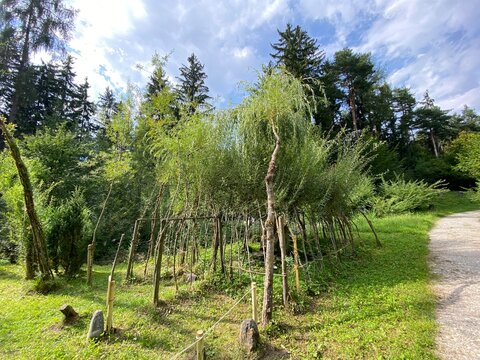 Schwaz Unteres Inntal Tirol &Ouml;sterreich - Silberwald Heilwald