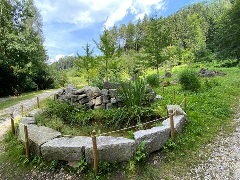 Schwaz Unteres Inntal Tirol &Ouml;sterreich - Silberwald Heilwald