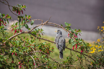 Bird sitting on tree branch