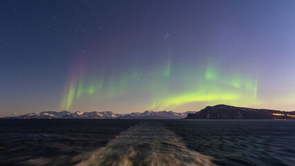 tanzende Nordlichter über Reinøya und Karlsøya. grün, gelb, pink Aurora Borealis im Ullsfjord,...