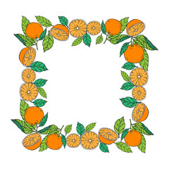 square frame of orange fruits and leaves