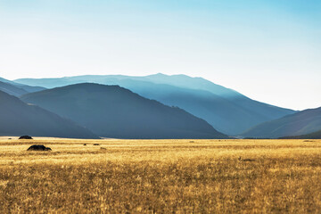 Obraz premium Kurai steppe in the Altai Mountains