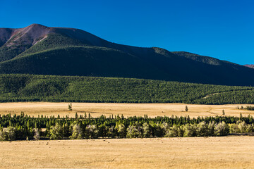 Kurai steppe in the Altai Mountains