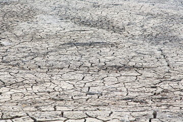 Dry sediments or land after the desludging of a lake in order to purge the water and protect fauna and flora-nature protection context, ecology or global warming concept, texture, natural background