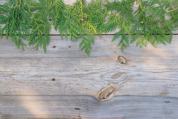 Naklejka premium Frame of green thuja twigs on rustic wooden background; flat lay, copy space