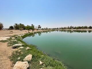 Obraz premium landscape with lake