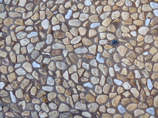 Textured stony background. Pavement made with white, beige, brown, gray and black pebbles