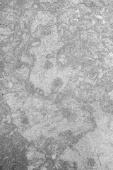 Wall texture background, gray paper or cardboard surface of a paper box for packaging. and for decoration designs and natural background concept