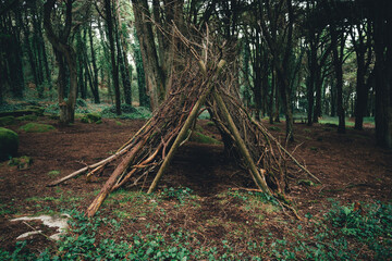 A huge shelter of twigs and branches on the clearing in a deep forest surrounded by trees and greenery, with a small pathway trace on the ground passing through it, Sintra, Portugal