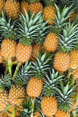 Obraz premium Arrangement Organic Ripe Whole Pineapple