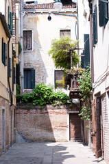 Fototapeta na wymiar typical street alley italy old building