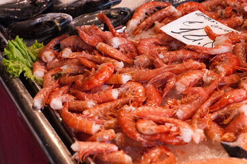 shrimp open market venice italy