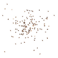 Organic natural chia seeds isolated on white background