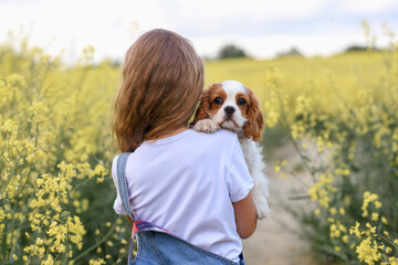little girl in a rapeseed field with a puppy cavalier king charles spaniel