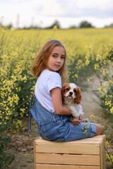 little girl in a rapeseed field with a puppy cavalier king charles spaniel