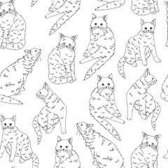 Cats pet animals, kittens seamless pattern. Hand drawn vector illustration. Black contour ornament. Design for decor, wallpaper, background, textile.