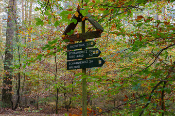 Im Wald, der Natur, zur Freude am Farben, Pflanzen, Bäumen und Jahreszeiten.
In the forest, in nature, to enjoy colors, plants, trees and the seasons