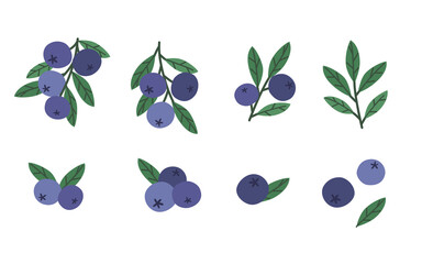 Set of blueberries. Cartoon style colorful hand drawn  vector illustration