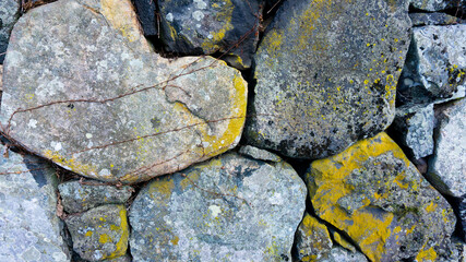 蔦が這う白い石垣