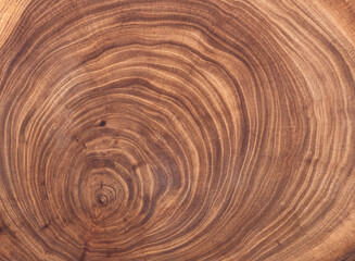 Fototapeta na wymiar brown background and texture Cross section of tree trunk showing growth rings