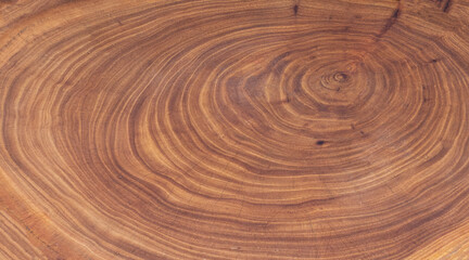 brown background and texture Cross section of tree trunk showing growth rings