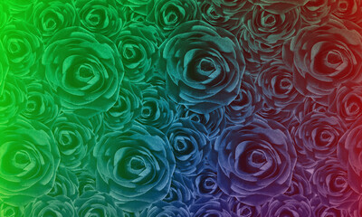 beautiful multicolored big and small roses on nature background, banner template, web, copy space