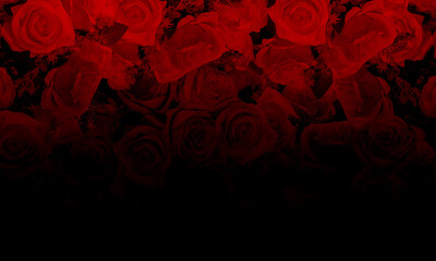 black and red color roses bouquet background, banner, template, web, copy space