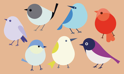 Set of birds in flat style vector illustration colored birds