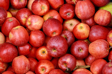 Fototapeta na wymiar Delicious red apples. Healthy diet food concept.