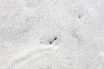white foam bottom, waves reaching shore, overhead view