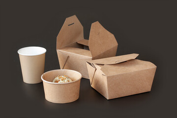 Sustainable Food Packaging. Eco-friendly bamboo sustainable and disposable tableware and take-out...