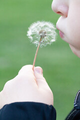 Fototapeta premium Soffiami via